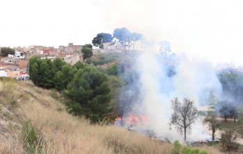 El PP exige explicaciones por los restos de poda en los que se inici&oacute; el fuego en los Jardines del Vinalop&oacute;