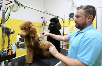 Mundo Vivo dispone de un spa de hidroterapia para mejorar la salud de las mascotas