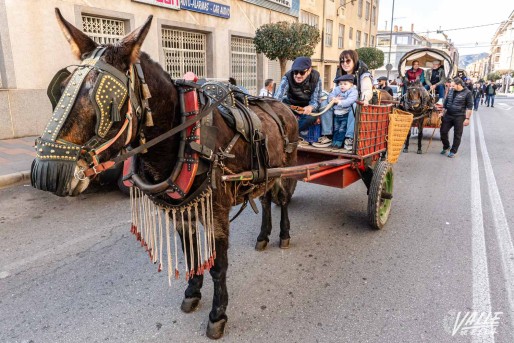 Los animales reciben la bendici&oacute;n de San Ant&oacute;n en Petrer