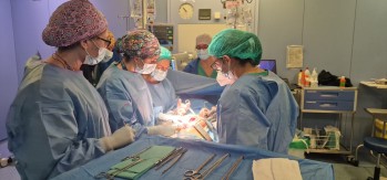 Nueva t&eacute;cnica avanzada para tratar hernias abdominales complejas en el Departamento de Salud de Elda