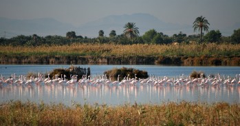 La Comunidad Valenciana conmemora el D&iacute;a Europeo de los Parques Naturales