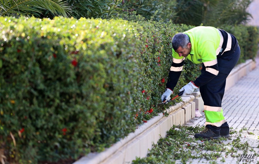 Comienza el embellecimiento de los parques y jardines de la ciudad Comienza el embellecimiento de los parques y jardines de la ciudad