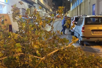 Las rachas de aire provocan da&ntilde;os en Elda y Petrer