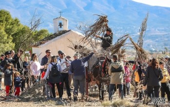 La recogida de le&ntilde;a de San Ant&oacute;n ser&aacute; el 13 de enero