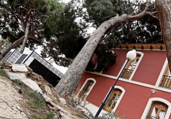 El Ayuntamiento de Elda desaloja la Casa Color&aacute; por el riesgo de la ca&iacute;da de un &aacute;rbol