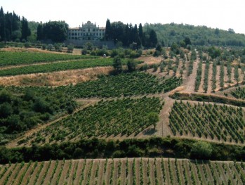 Vinos de la Toscana