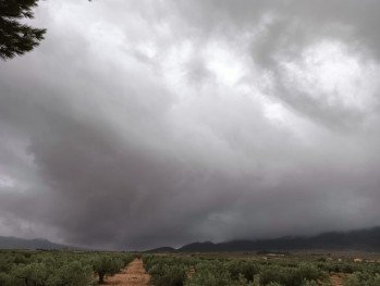 Previsi&oacute;n para el fin de semana