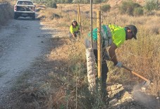 Elda intensifica las labores de prevenci&oacute;n de incendios durante los meses de mayor riesgo