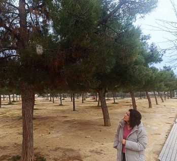 El PP denuncia la falta de mantenimiento en el barrio Avenida del Mediterr&aacute;neo