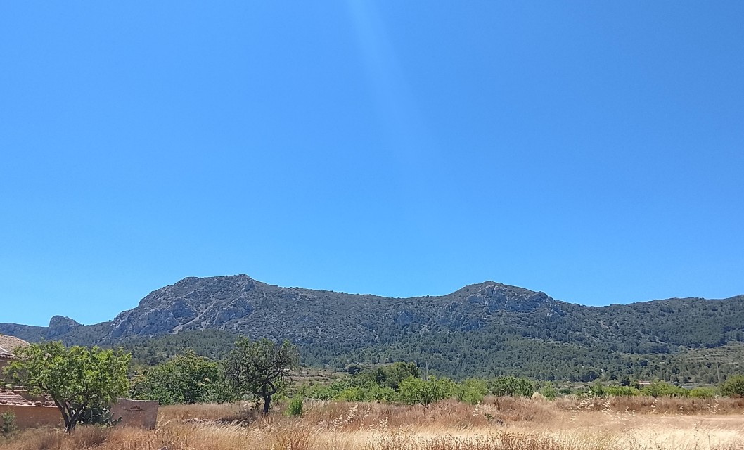 Temperaturas en progresivo ascenso