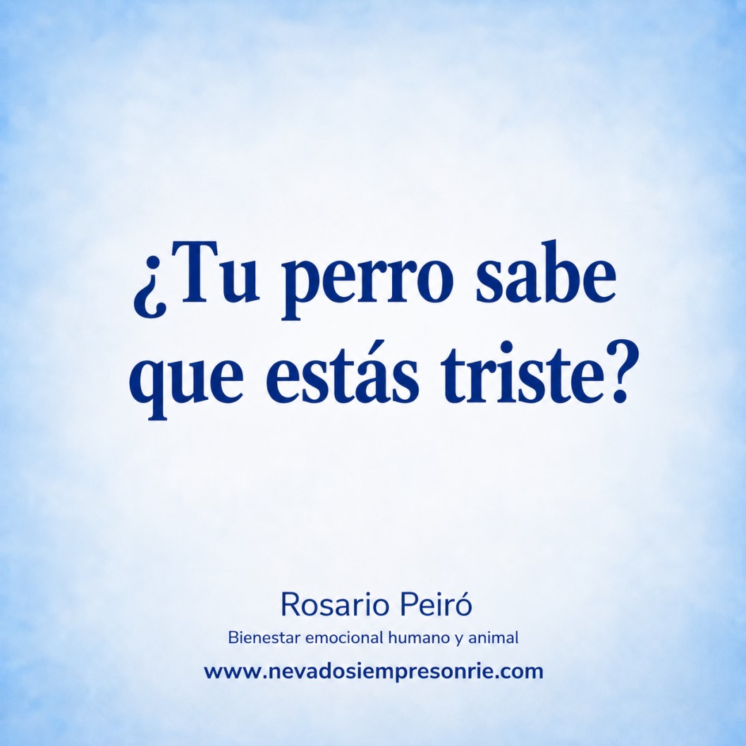 &iquest;Tu perro sabe que est&aacute;s triste?
