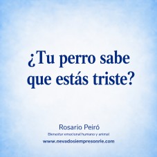 &iquest;Tu perro sabe que est&aacute;s triste?