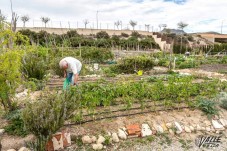 Elda recibe una subvenci&oacute;n de 3.000 euros para el mantenimiento de los huertos urbanos
