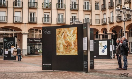 Los 3.000 a&ntilde;os de cultura del vino alicantino se recogen en una exposici&oacute;n en la Plaza Mayor
