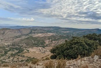 Viento y ascenso t&eacute;rmico