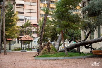 Cae un &aacute;rbol en el Jard&iacute;n de la M&uacute;sica
