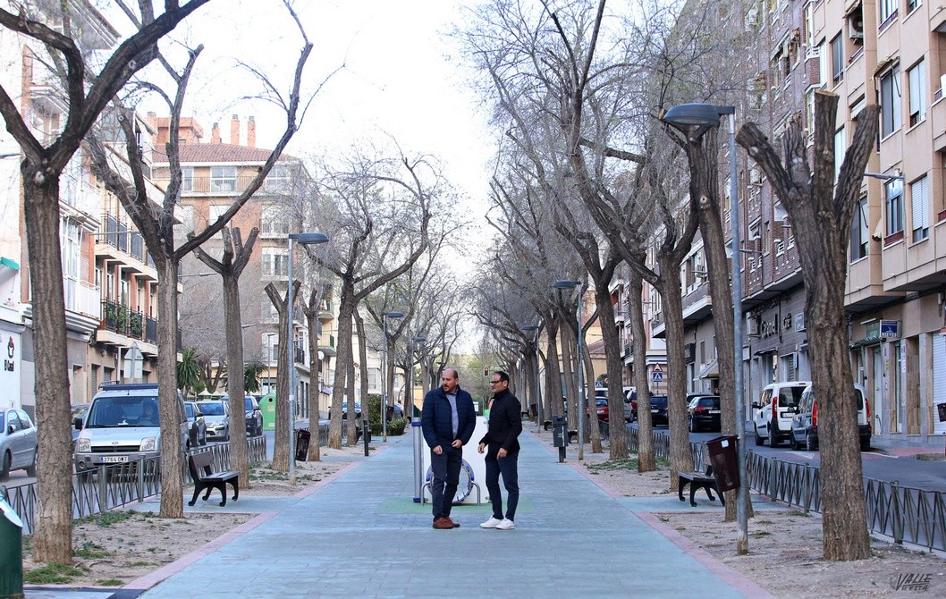 Renuevan el arbolado de la avenida Felipe V por seguridad Renuevan el arbolado de la avenida Felipe V por seguridad