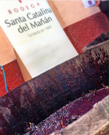 Bodegas Santa Catalina del Ma&ntilde;&aacute;n  