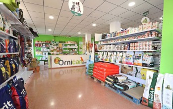 Ornican Petrer expertos en el mundo de los p&aacute;jaros