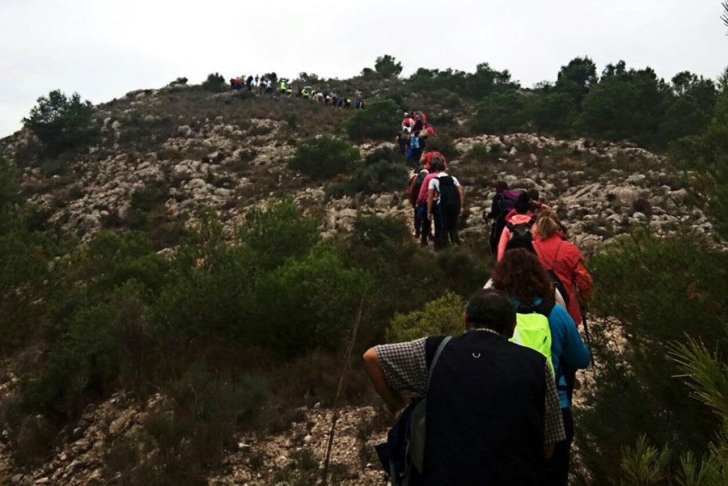 Cerca de 100 personas participaron en la ruta montañera "Disfruta de nuestros parajes" Cerca de 100 personas participaron en la ruta montañera "Disfruta de nuestros parajes"