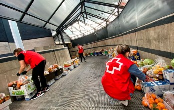 Cruz Roja Elda repartir&aacute; seis toneladas de frutas y verduras para las familias con menos recursos