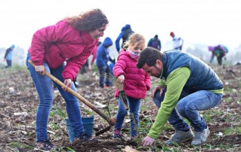 Medio Ambiente dedica el D&iacute;a del &Aacute;rbol a la recuperaci&oacute;n de la ladera de Bol&oacute;n