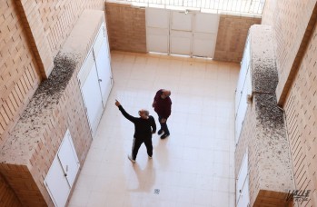 Vecinos de La Almafr&aacute; piden ayuda a EMUDESA para poner fin a su problema con las palomas