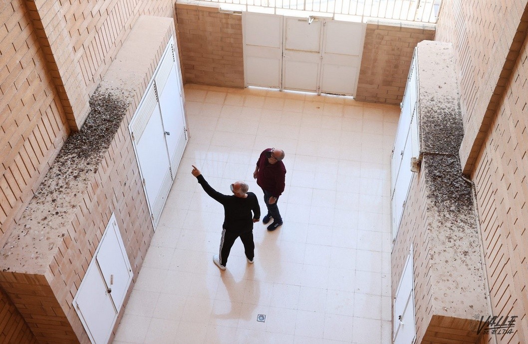 Vecinos de La Almafrá piden ayuda a EMUDESA para poner fin a su problema con las palomas Vecinos de La Almafrá piden ayuda a EMUDESA para poner fin a su problema con las palomas