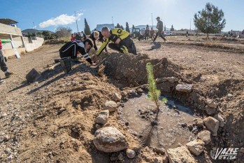 Petrer celebra el D&iacute;a del &Aacute;rbol con 900 plantones