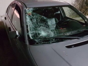Detenido un joven de 19 a&ntilde;os en Elda por darse a la fuga tras presuntamente atropellar gravemente a un peat&oacute;n