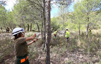 Petrer realiza trabajos de prevenci&oacute;n de incendios en Caprala por primera vez