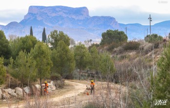 Petrer culmina la limpieza de la Rambla de Pu&ccedil;a