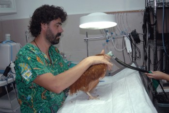 La Cl&iacute;nica Veterinaria Amazonia lleva 14 a&ntilde;os cuidando mascotas de todo tipo