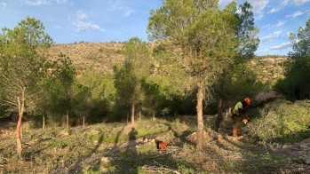 Contin&uacute;a el Plan de prevenci&oacute;n de incendios en Elda