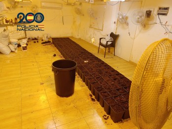Desmantelan una plantaci&oacute;n de marihuana en una vivienda en la que presuntamente hab&iacute;a una mujer retenida