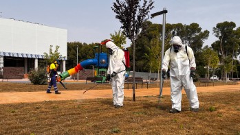 Actuaci&oacute;n de urgencia contra las orugas en Luvi