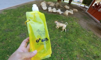 Petrer quiere acabar con los excrementos en las calles con multas a trav&eacute;s de SUMA