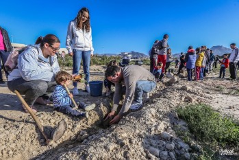 Elda celebrar&aacute; el D&iacute;a del &Aacute;rbol con una plantaci&oacute;n en la antigua escombrera