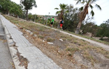 Los parques de Elda se recuperar&aacute;n con una contrata anual con la que se pasa de 10 a 33 jardineros