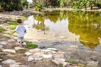 El PP pide un plan de choque para los Jardines del Vinalop&oacute;