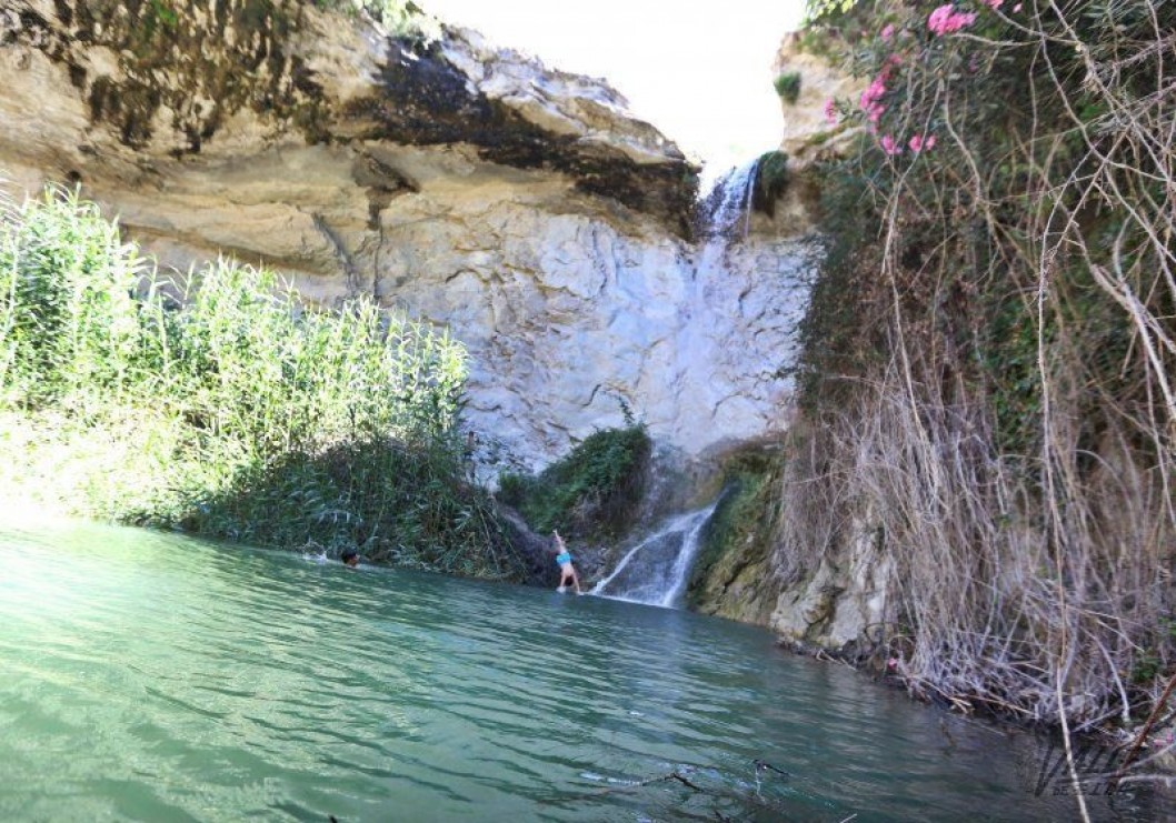 Vuelve el agua a los Saltos de la Rambla de Puça de Petrer Vuelve el agua a los Saltos de la Rambla de Puça de Petrer