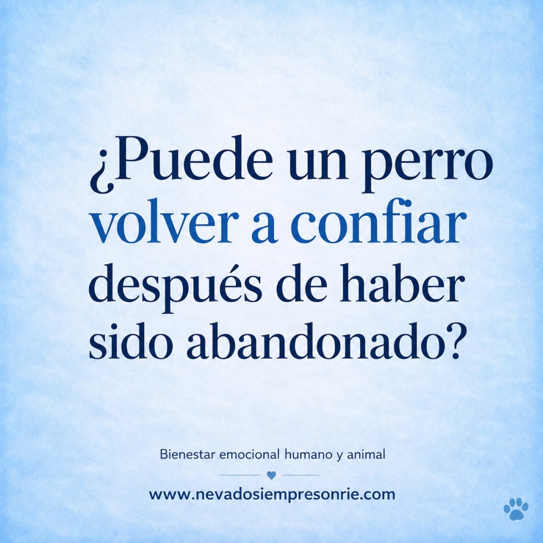 &iquest;Puede un perro volver a confiar despu&eacute;s de haber sido abandonado?