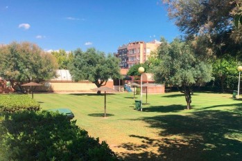La recaudaci&oacute;n de las piscinas de verano de Petrer aumenta con respecto al a&ntilde;o pasado