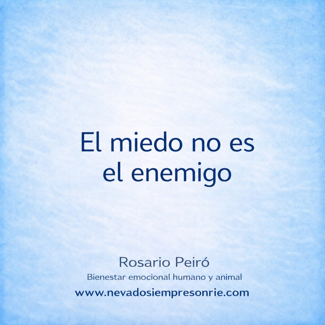 El miedo no es el enemigo