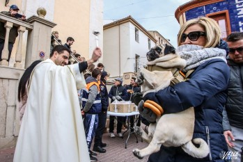Cientos de animales reciben la bendici&oacute;n de San Ant&oacute;n en Petrer