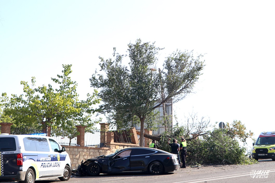Un conductor se estrella contra un árbol y la Casa Colorá Un conductor se estrella contra un árbol y la Casa Colorá
