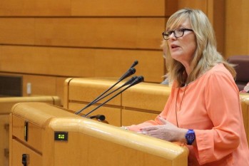 La senadora de Elda Virginia Romero defiende la Ley Ordenadora de Inspecci&oacute;n de Trabajo y Seguridad Social