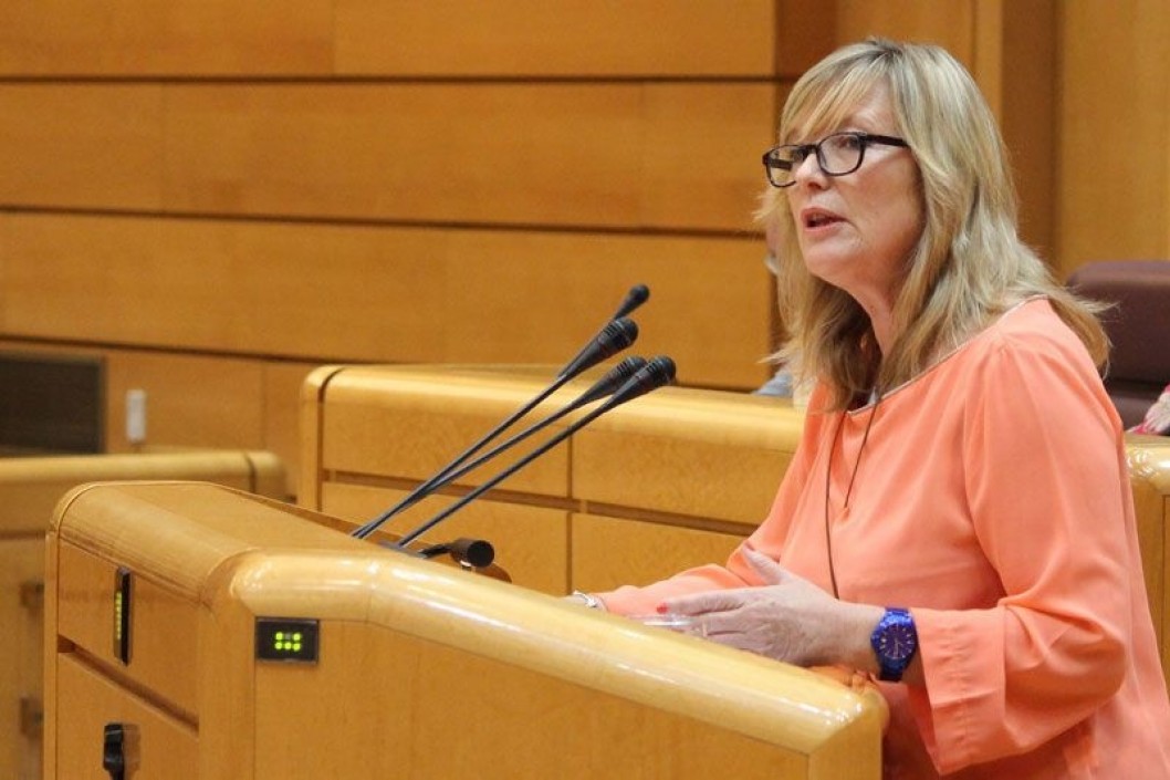 La senadora de Elda Virginia Romero defiende la Ley Ordenadora de Inspección de Trabajo y Seguridad Social La senadora de Elda Virginia Romero defiende la Ley Ordenadora de Inspección de Trabajo y Seguridad Social