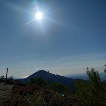 Ola de calor