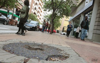 Elda replantar&aacute; parte del arbolado perdido en las calles de la ciudad